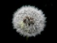 /album/bildgalleri-natur/p6010460-jpg/