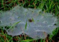 /album/bildgalleri-natur/pa280039-jpg/