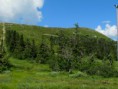 /album/bildgalleri-natur/img-3085-jpg3/