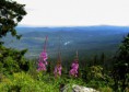 /album/bildgalleri-natur/img-3110-jpg3/