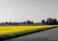 /album/bildgalleri-natur/img-0861-jpg/